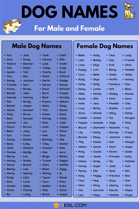 what pet names are used in china